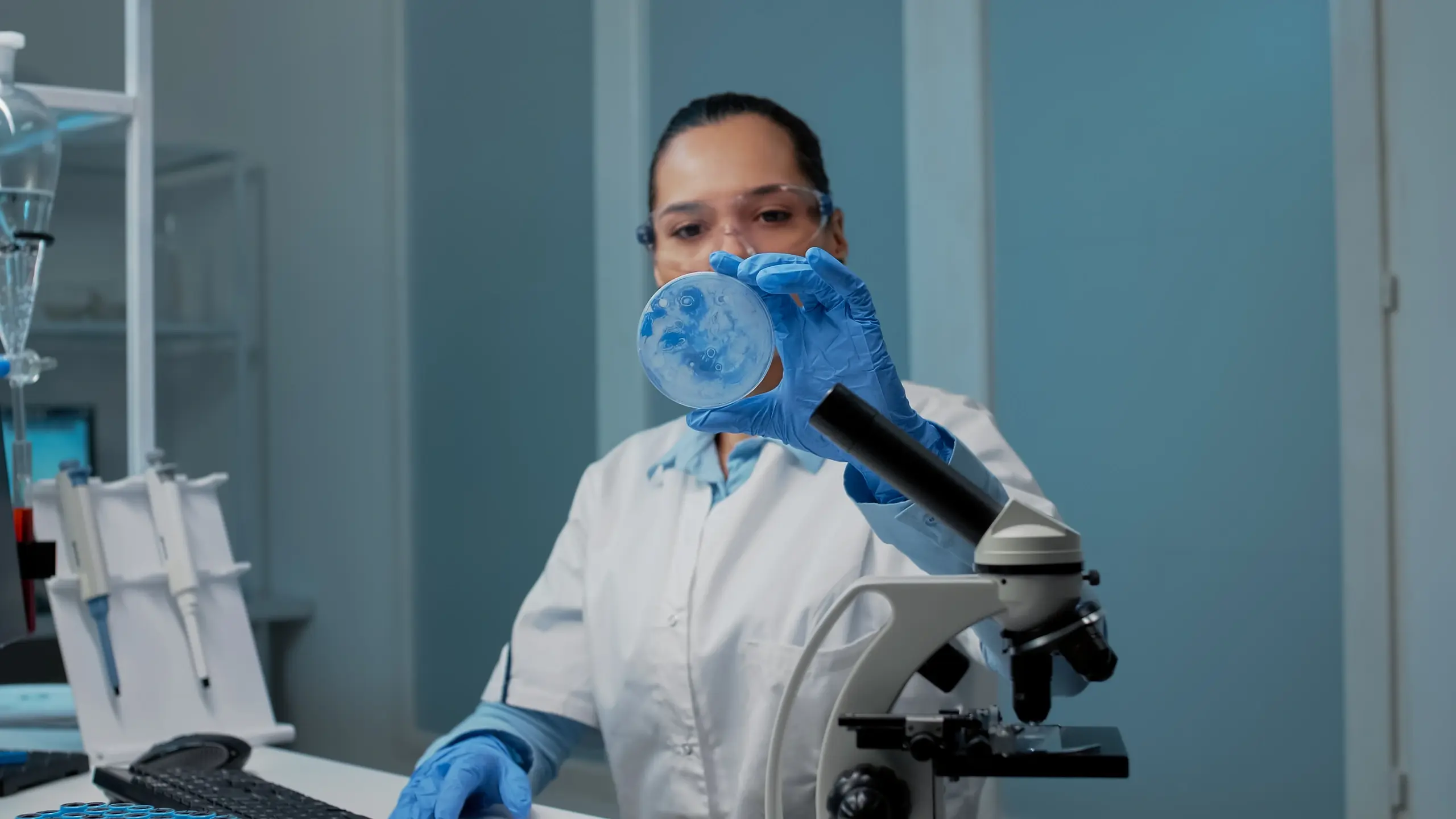 Pathology scientist examining a culture plate in a laboratory