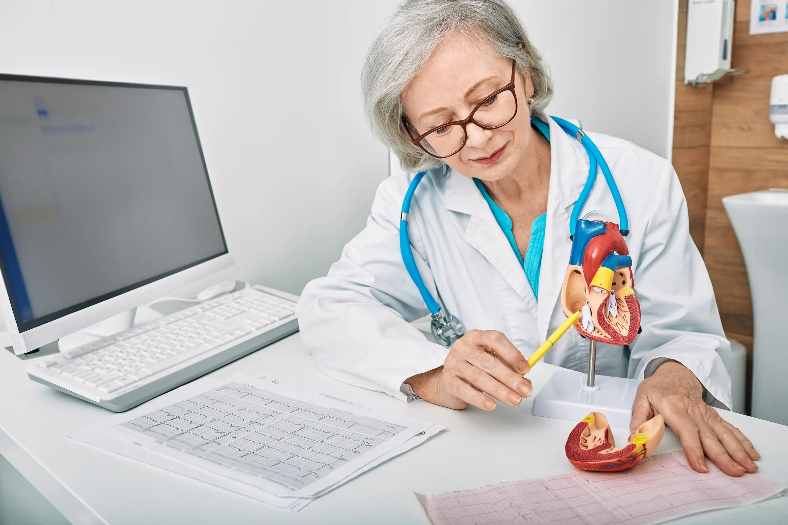 Cardiologist reviewing an ECG beside an anatomical heart model