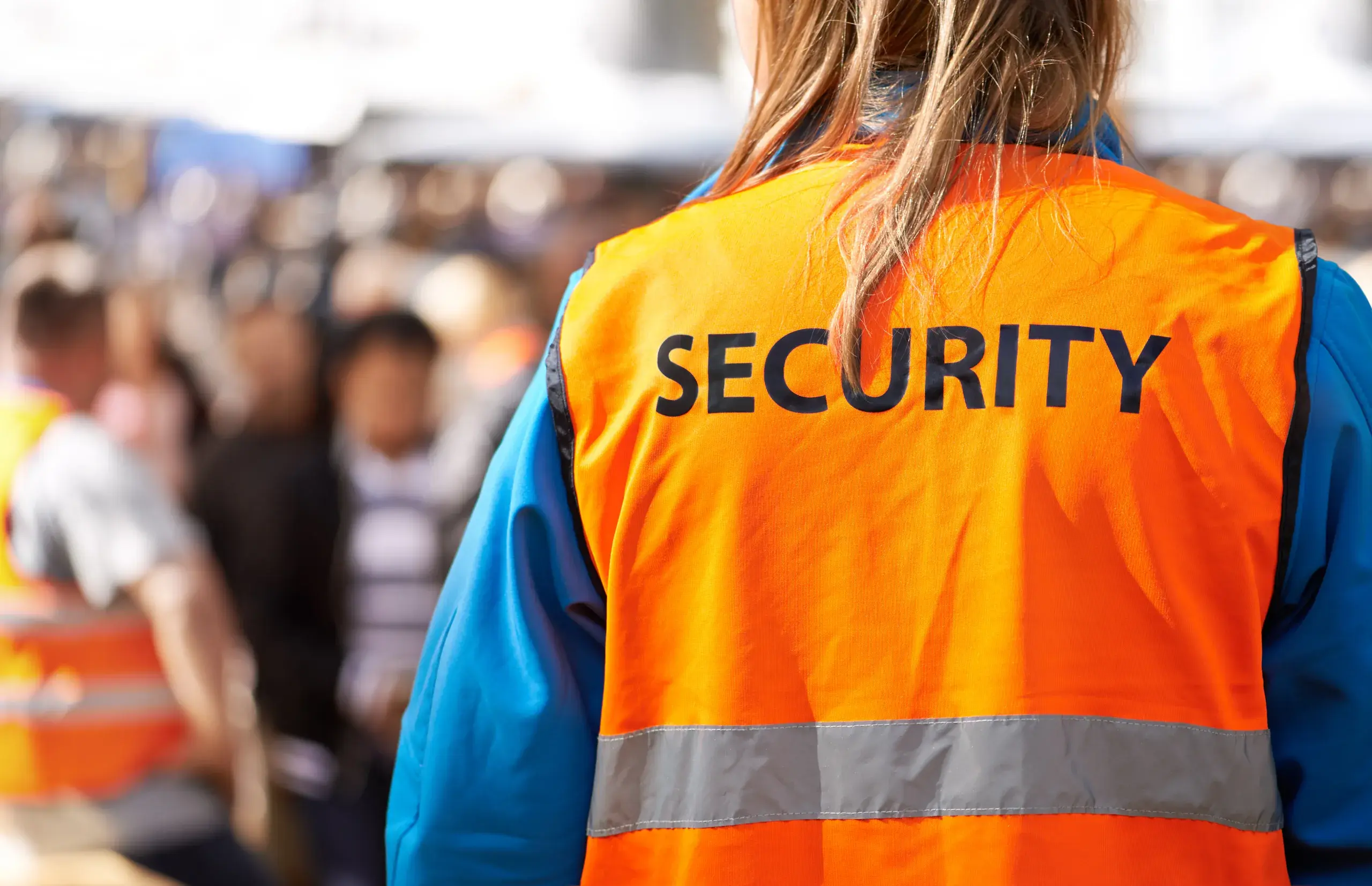 Security team monitoring a site