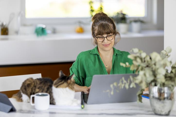 Veterinary scheduling software interface