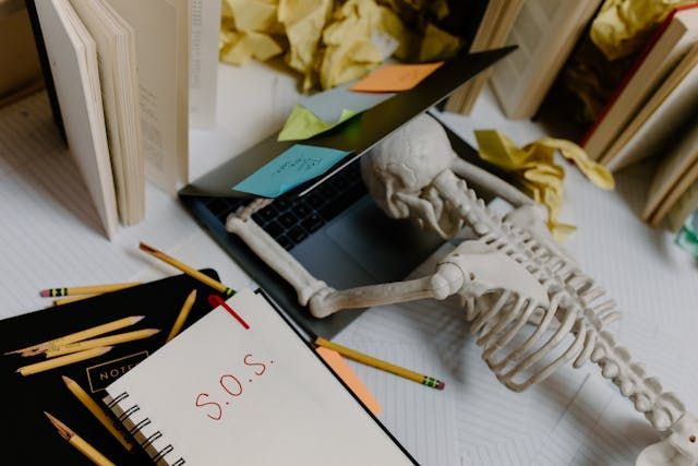 Skeleton on laptop with book that says sos